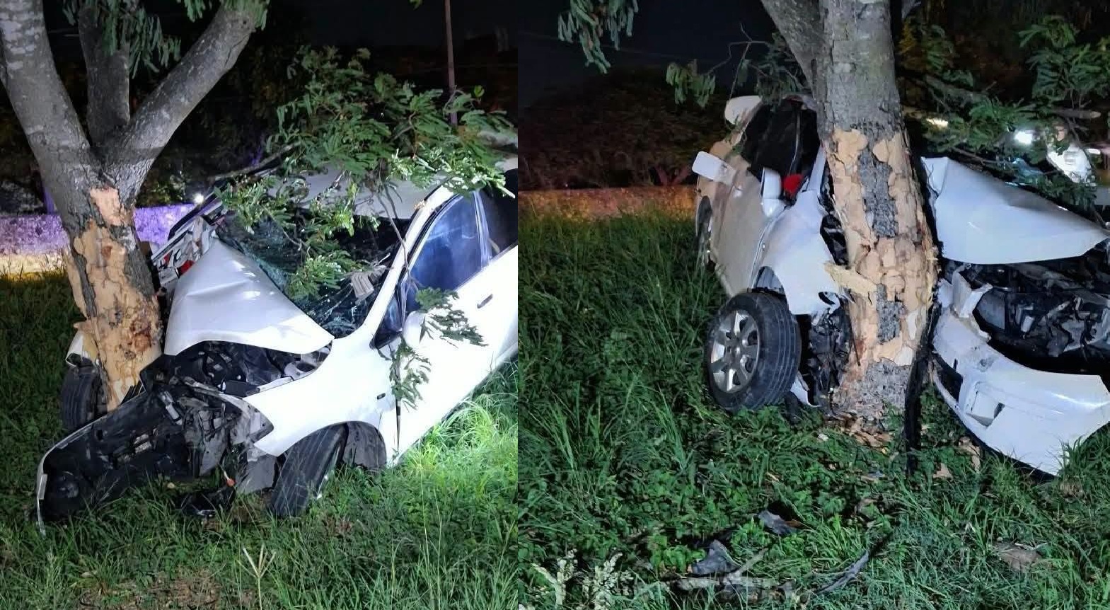 Un joven conductor choca contra un árbol y muere prensado en el periférico de Mérida