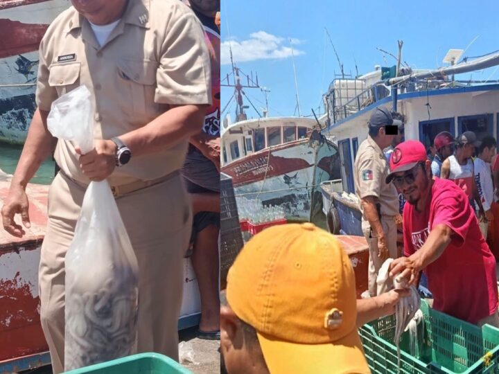 Red de extorsión en Yucalpetén: Oficial de Capitanía de Puerto exige cuota de pulpo a pescadores