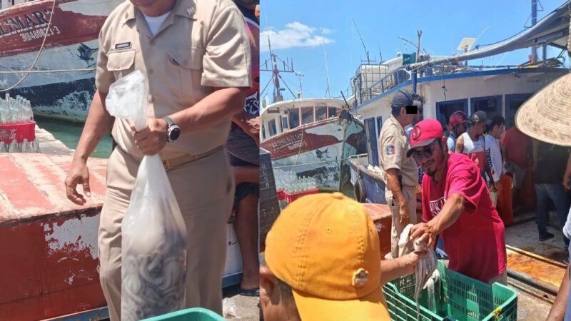 Red de extorsión en Yucalpetén: Oficial de Capitanía de Puerto exige cuota de pulpo a pescadores