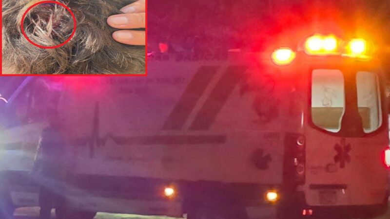 Sancho termina con cabeza de alcancía: El Jhony le dio un palazo en la cabeza en Kinchil