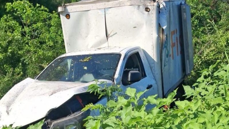 Una camioneta cargada con pescado vuelca en la carretera Celestún- Kinchil
