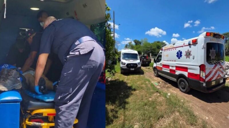 Trabajador instalaba internet en Motul, recibe una descarga de más de 13 Mil Volts y vive para contarlo