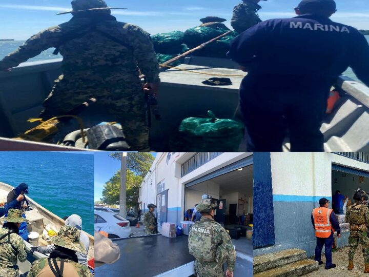 Marina decomisa casi una tonelada de ostión recolectado de manera ilegal en Ciudad del Carmen