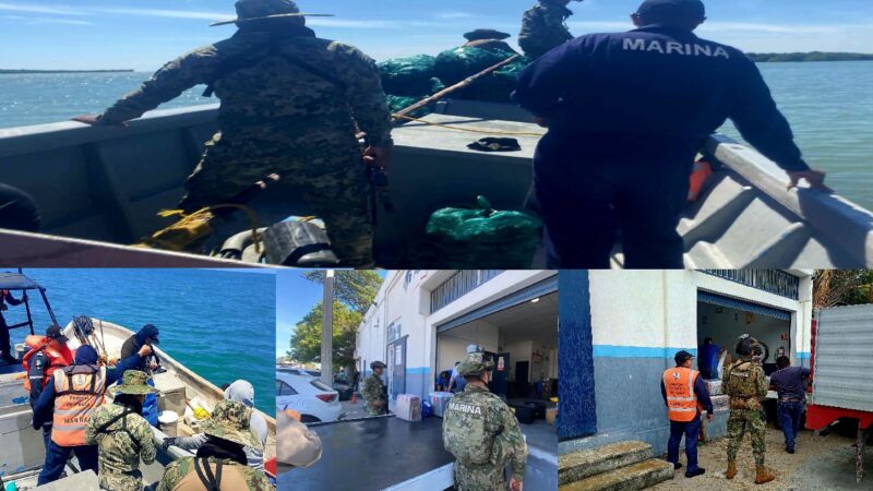 Marina decomisa casi una tonelada de ostión recolectado de manera ilegal en Ciudad del Carmen