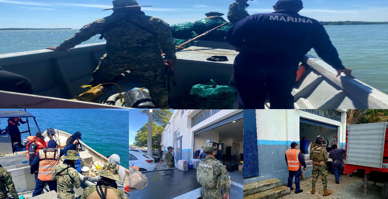 Marina decomisa casi una tonelada de ostión recolectado de manera ilegal en Ciudad del Carmen