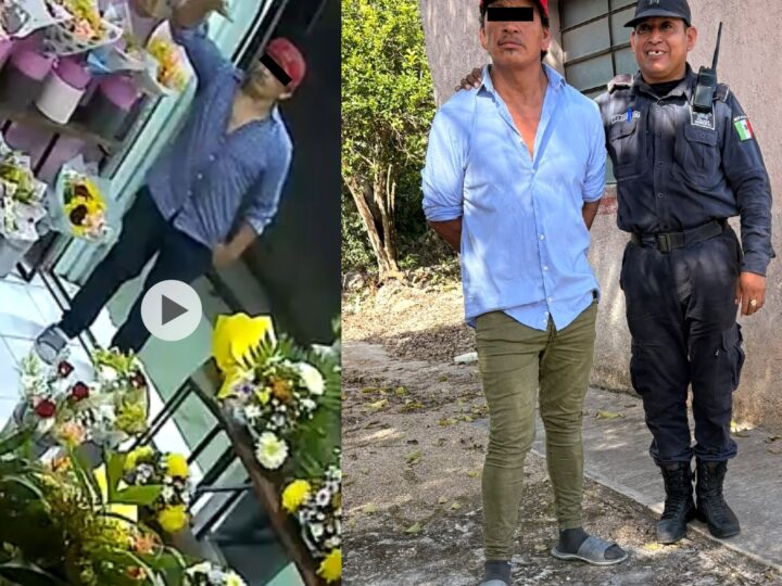 Una rata roba un refrigerado y lo detiene la policía cuando lo intentó vender en Tizimín