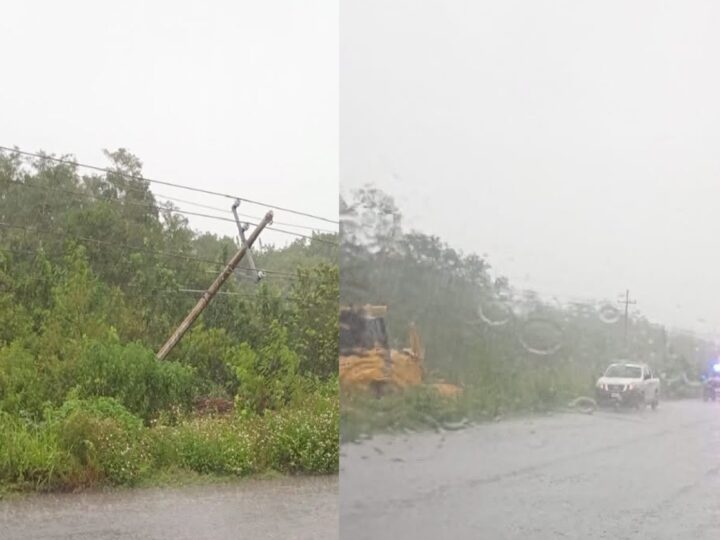 Más de 21 horas sin corriente: Trascabo derriba dos postes de alta tensión y deja sin luz a seis municipios