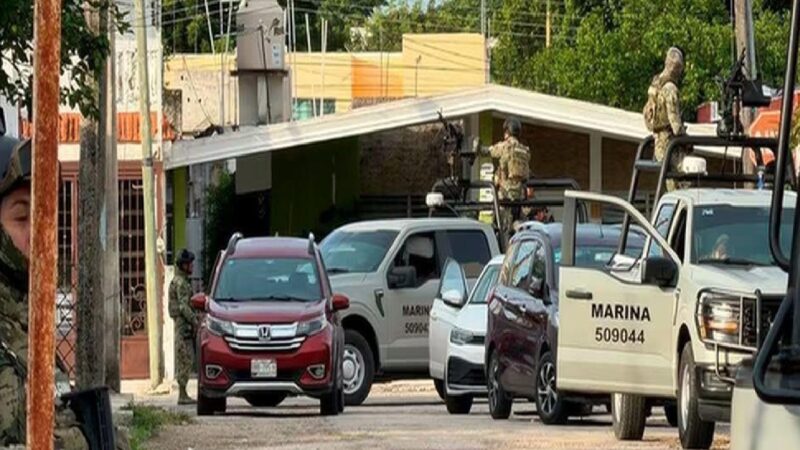 Operativo federal en fraccionamiento Del Arco: clausuran una empresa de contabilidad