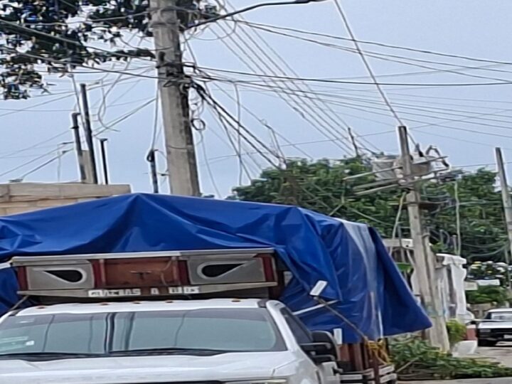 Apagón en Dzidzantún: Rama de zapote revienta cables de alta tensión