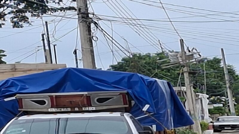 Apagón en Dzidzantún: Rama de zapote revienta cables de alta tensión