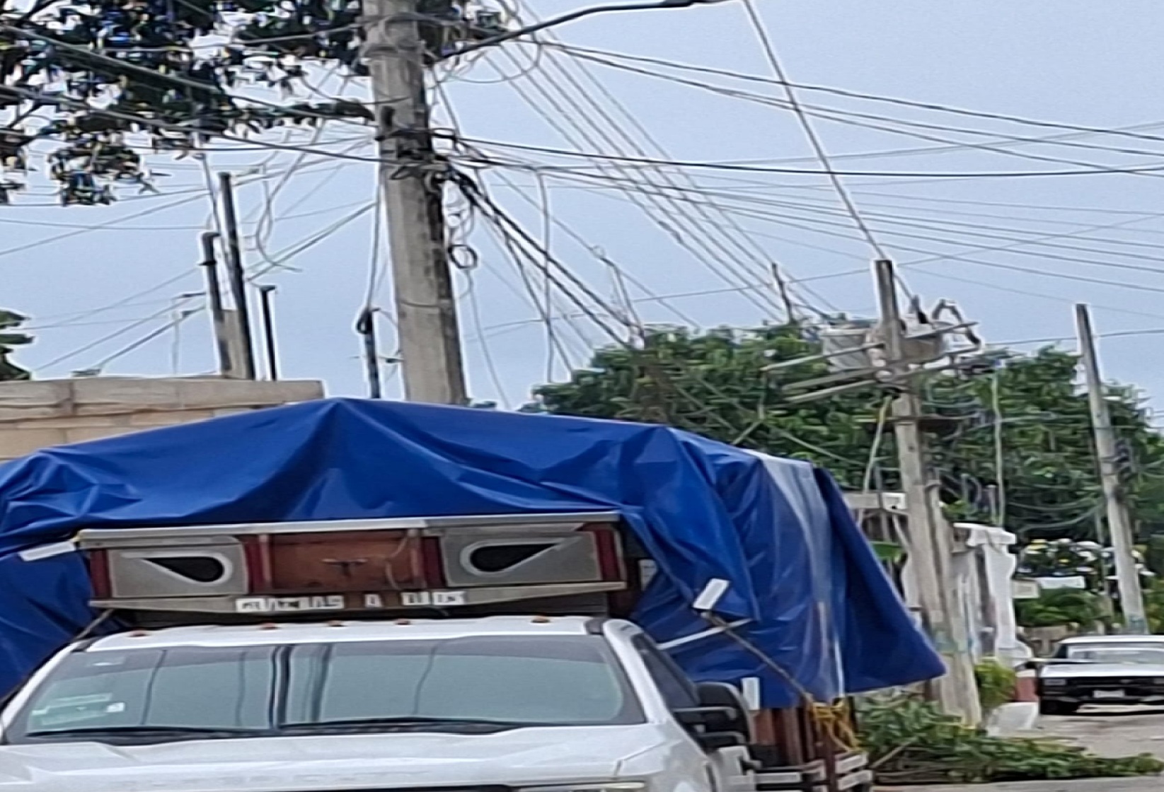 Apagón en Dzidzantún: Rama de zapote revienta cables de alta tensión